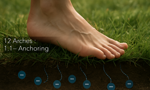 Anchoring